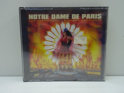 Notre dame paris - dame, luc